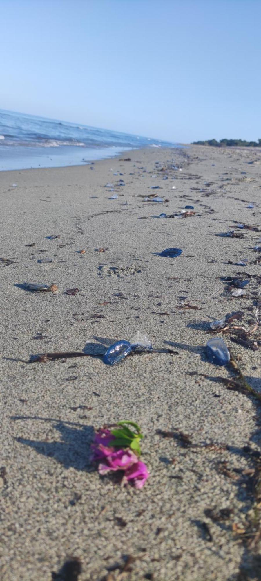 Villa Les Pieds Dans L'Eau 보르고 외부 사진
